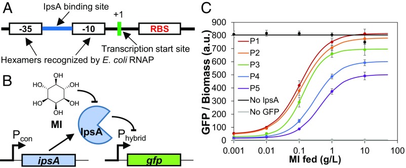 Fig. 1.