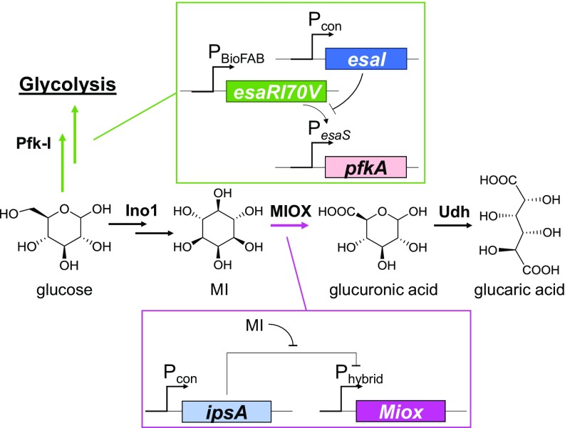 Fig. 4.