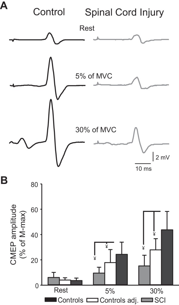 Fig. 4.