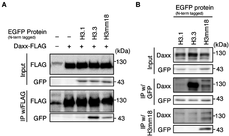 Figure 9.