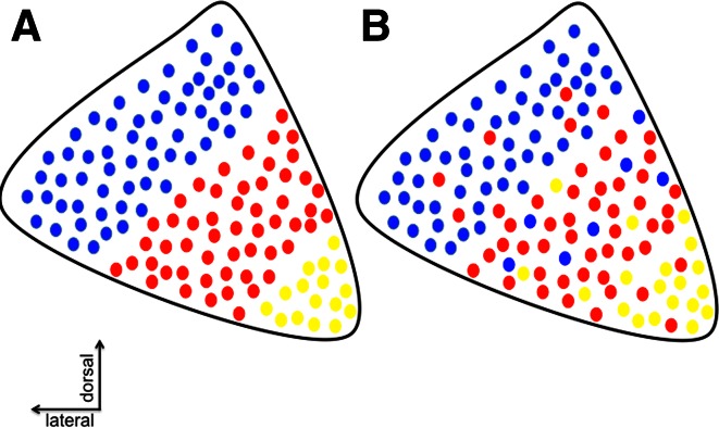 Fig. 2