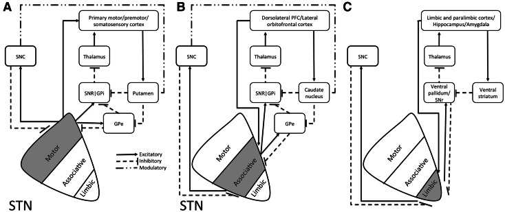 Fig. 1