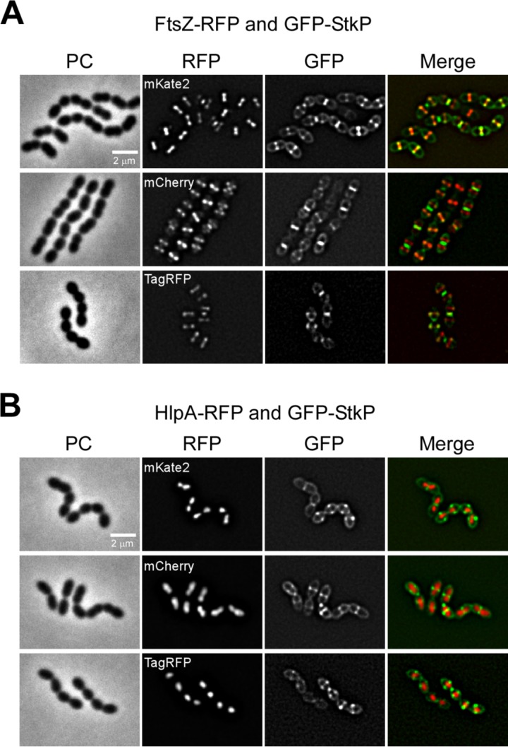 FIG 4