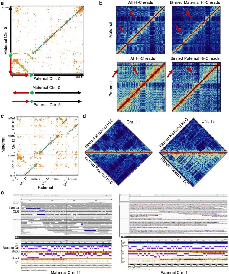 Extended Data Fig. 10