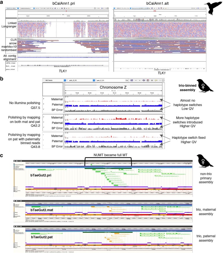 Extended Data Fig. 11