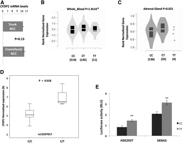 Figure 3