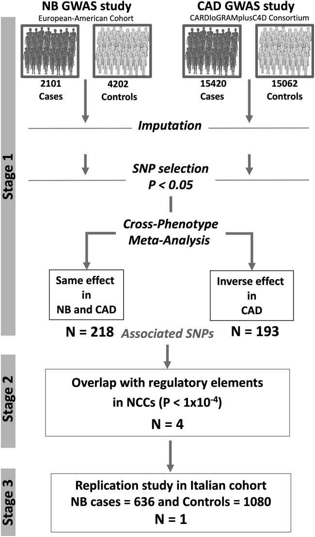 Figure 1