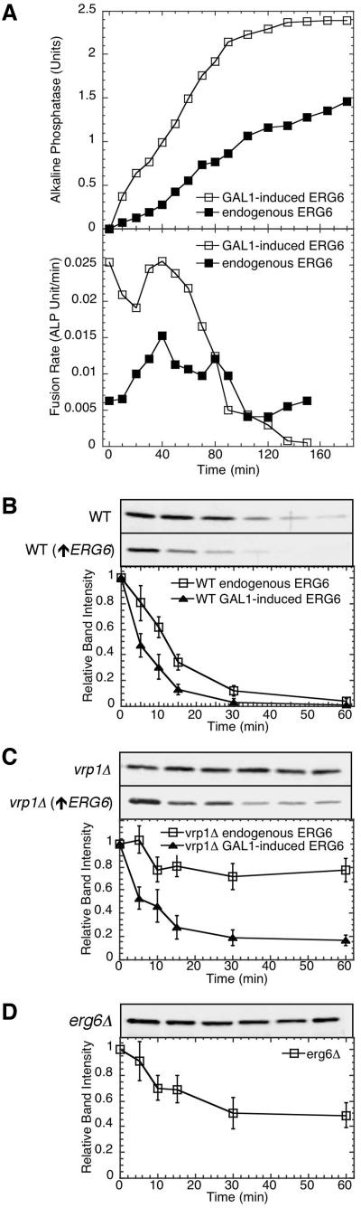 Figure 10.