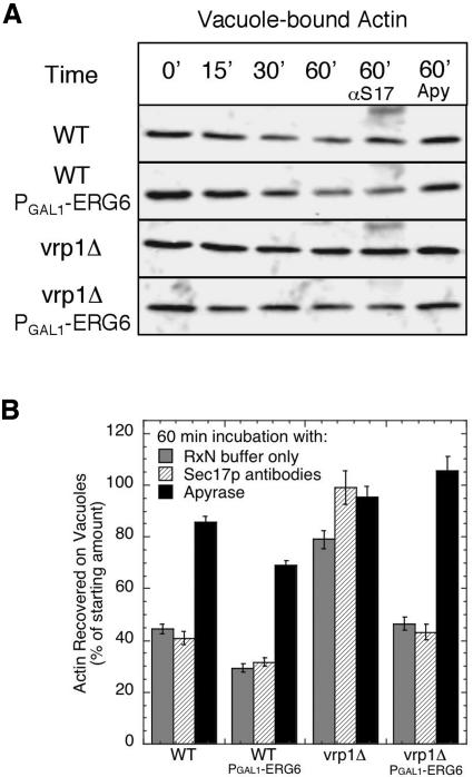 Figure 11.