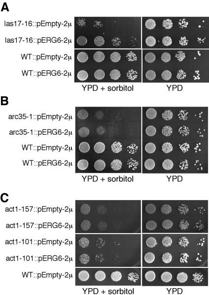 Figure 7.