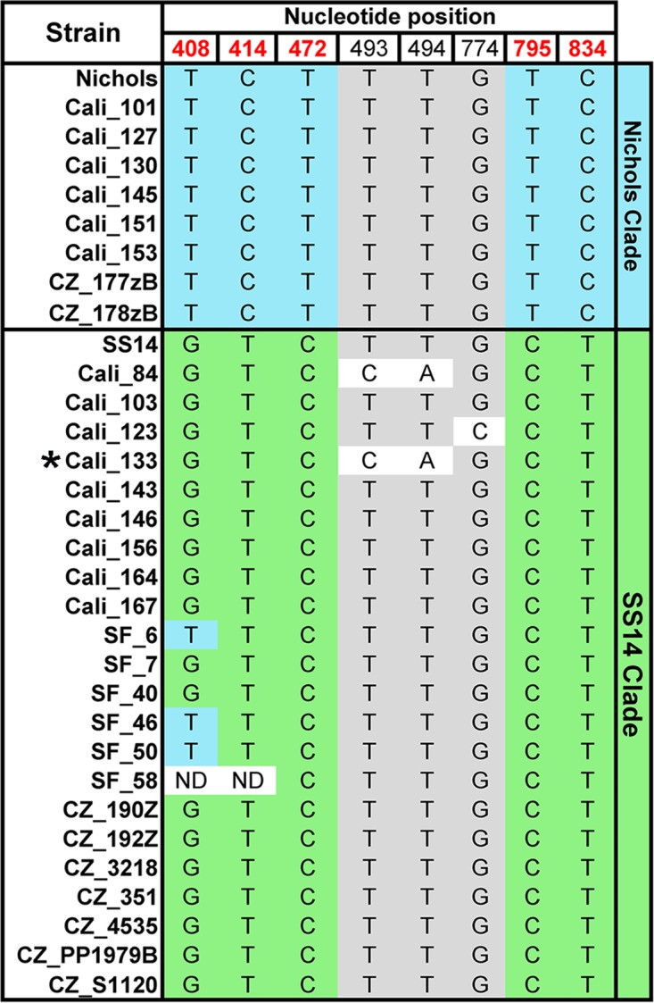 FIG 2 