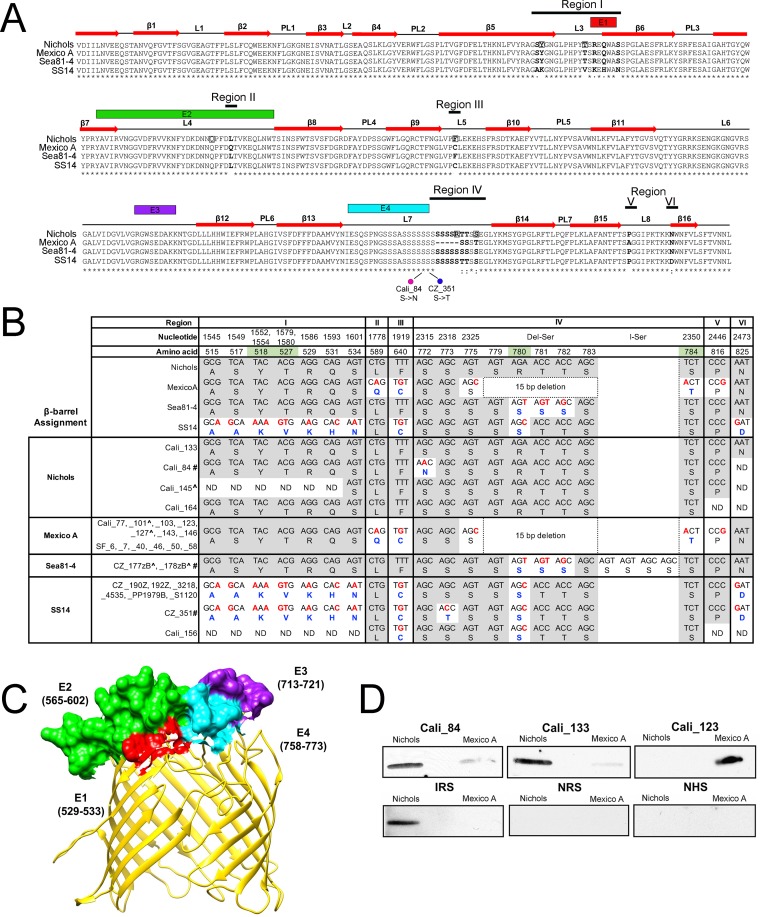 FIG 6 