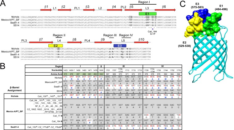 FIG 3 