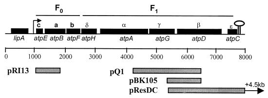 FIG. 1