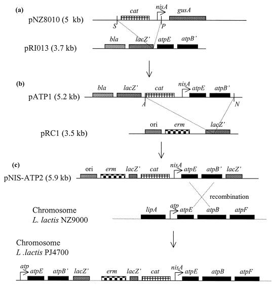 FIG. 2