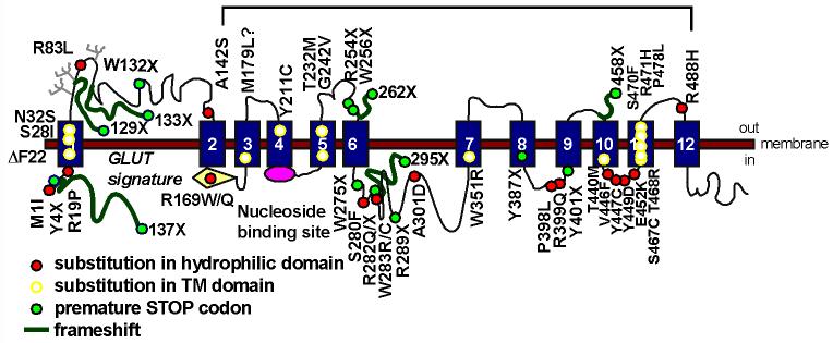 Fig. 3