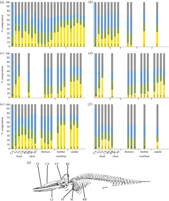 graphic file with name rspb20102553-g1.jpg