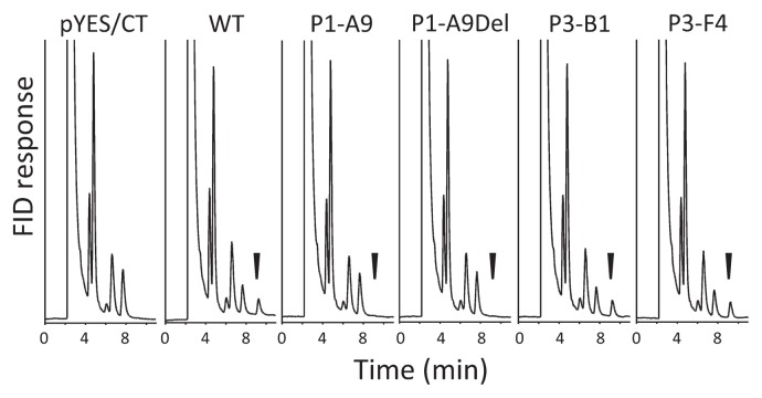 Fig. 6