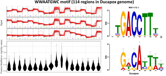 Figure 6