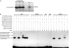 F<sc>ig</sc>. 7.