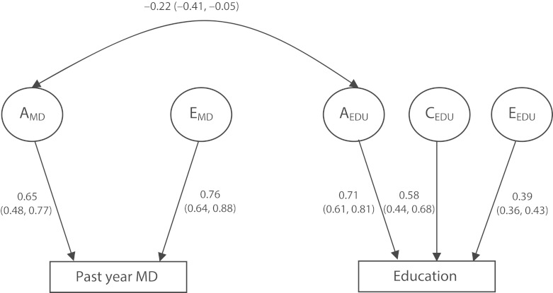 FIGURE 2—