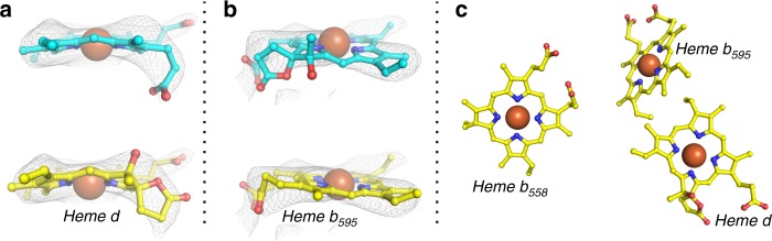 Fig. 3