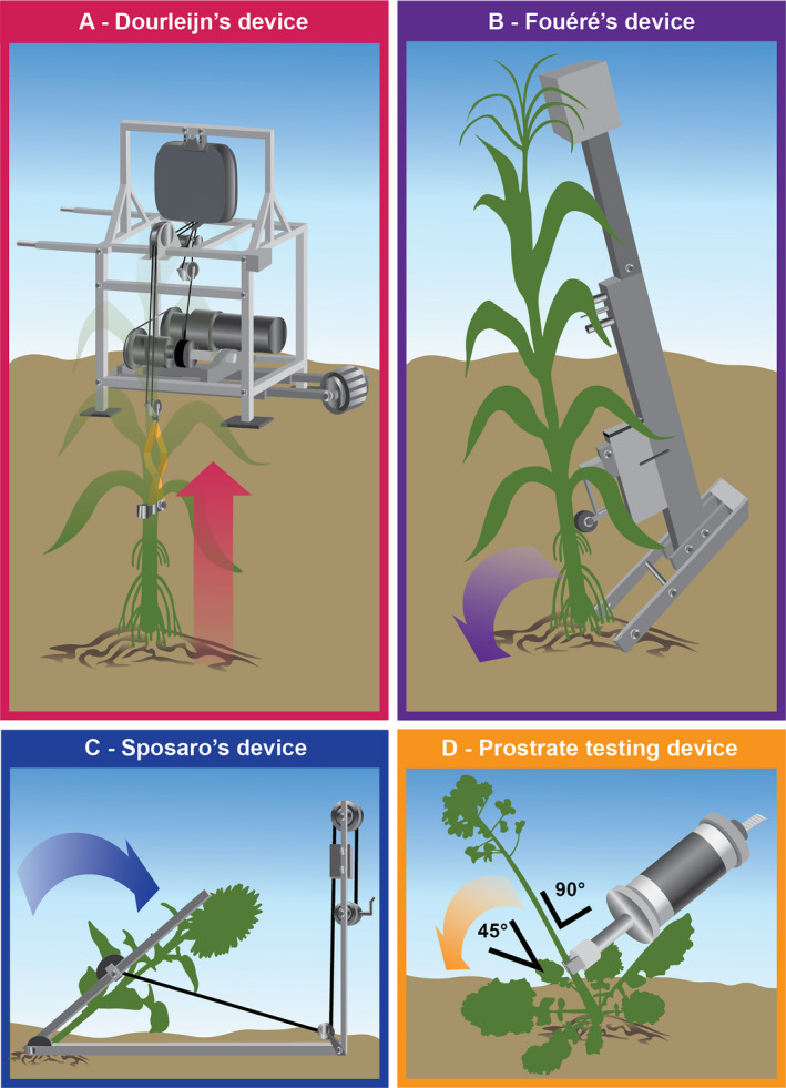 Figure 4