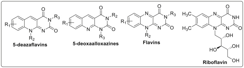 Fig. 4