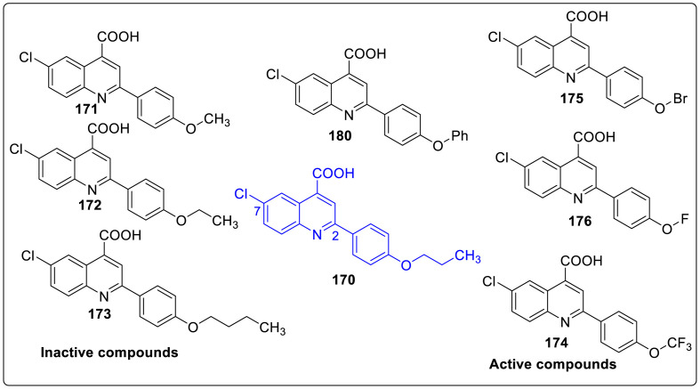 Fig. 12