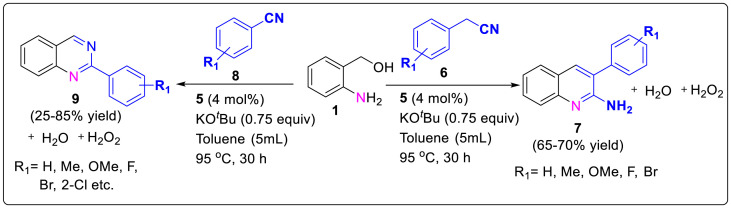 Scheme 2