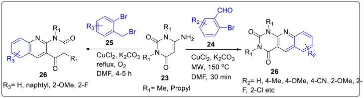 Scheme 6