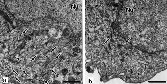 FIG. 7.