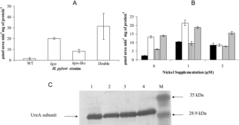 FIG. 2.