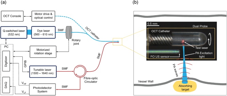 Fig. 1