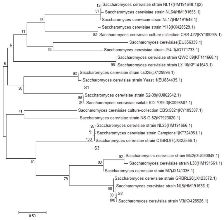 Figure 2