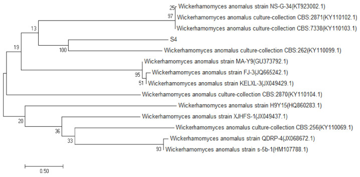 Figure 3