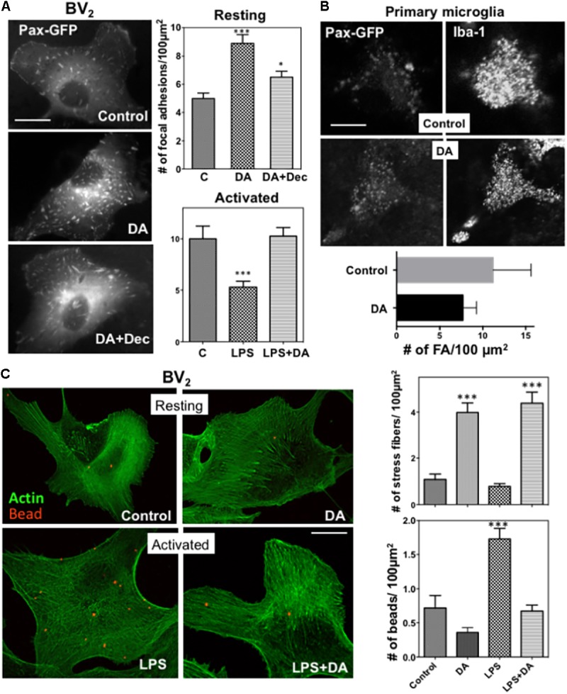 FIGURE 3