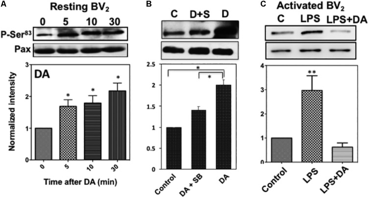 FIGURE 7