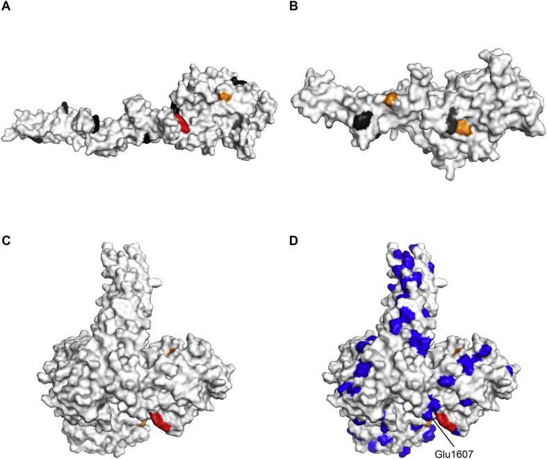 Fig. 10