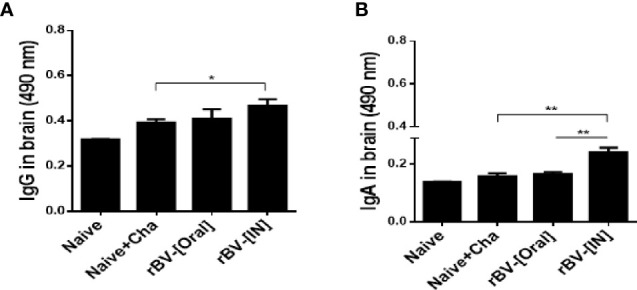 Figure 3