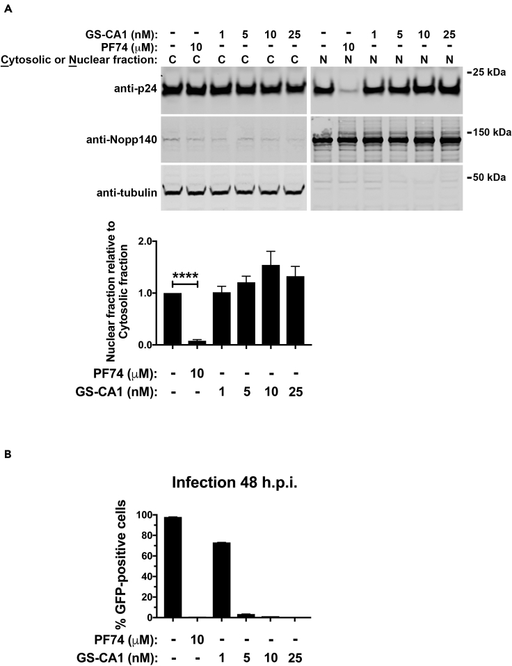 Figure 4