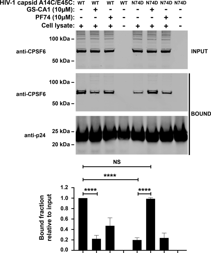 Figure 6