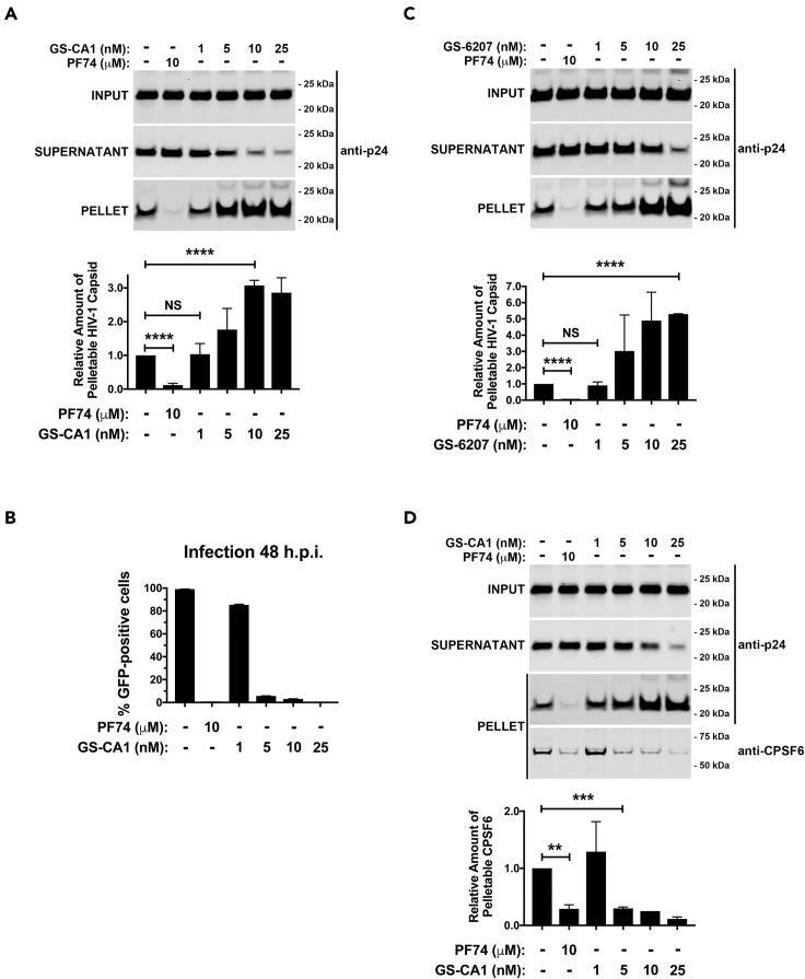 Figure 3