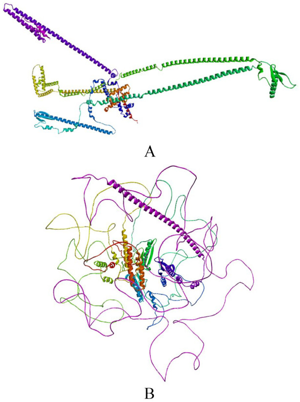 In silico Structure Prediction, Molecular Docking, and Dynamic ...