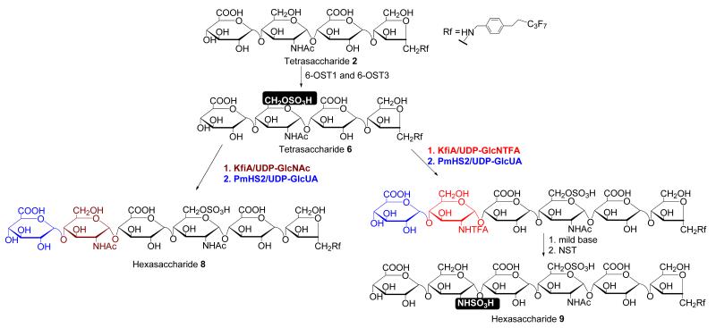 Fig 6