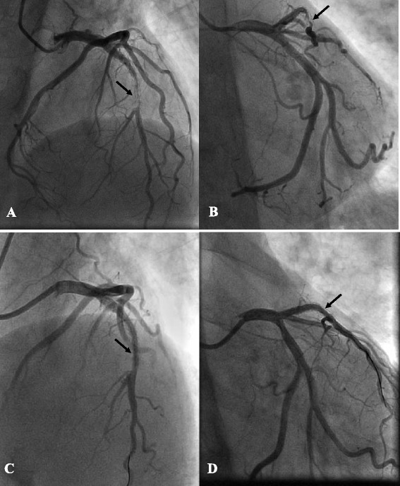 Fig. 2