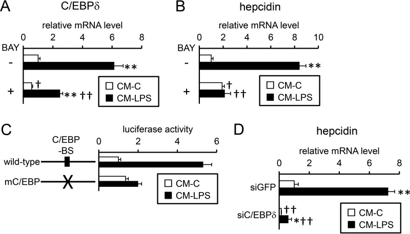 Figure 10.