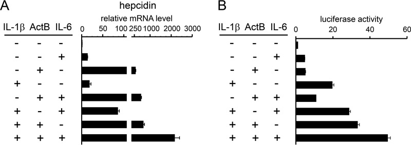 Figure 11.