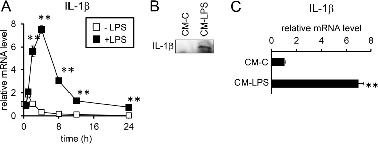 Figure 9.