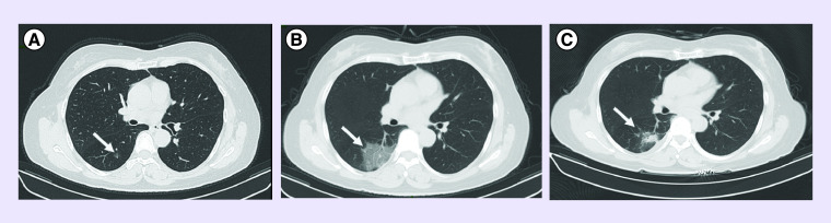 Figure 1. 